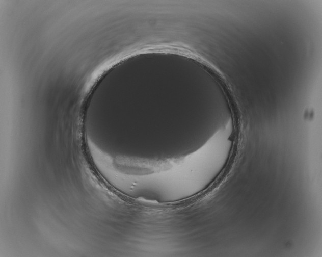 X0000111021506200907101327