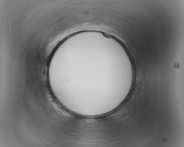 X0000111021507200907101327