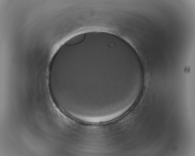 X0000111021508200907101327