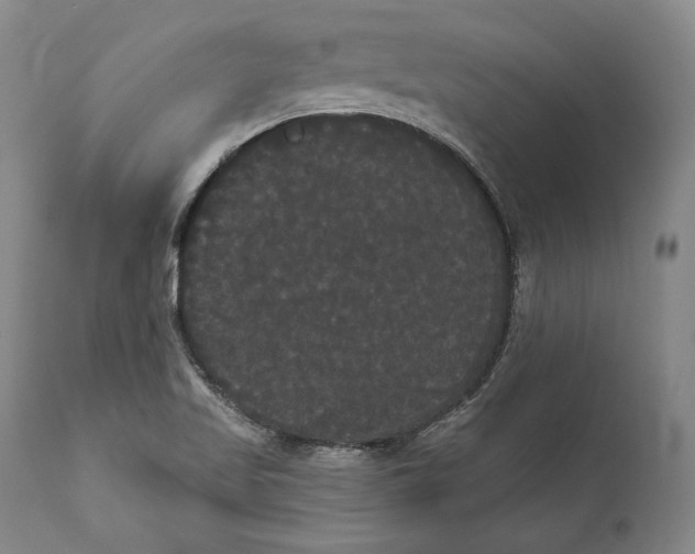 X0000111021509200907101327