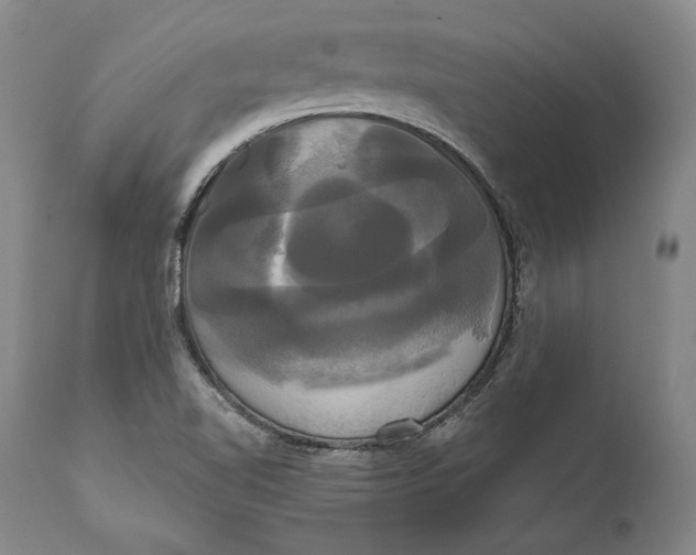 X0000111021510200907101327