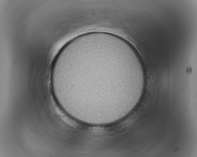 X0000111021511200907101327