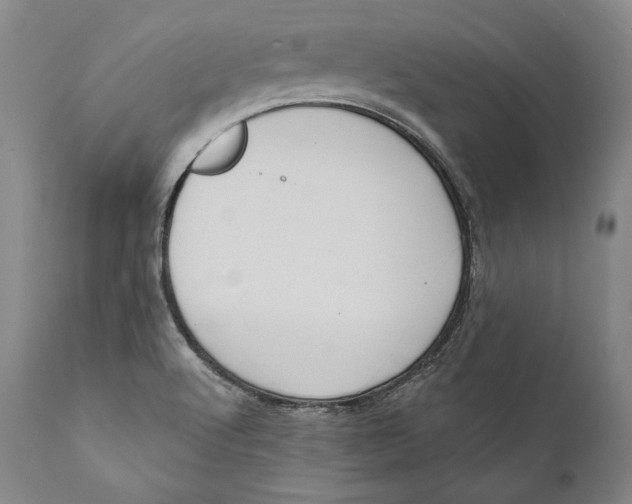 X0000111021512200907101327