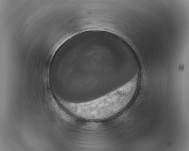 X0000111021513200907101328