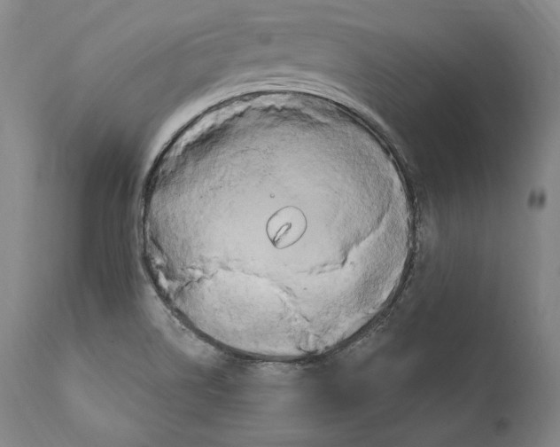 X0000111021514200907101328