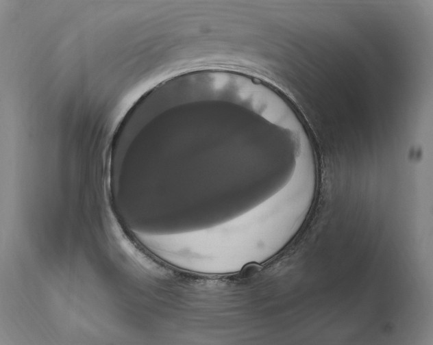 X0000111021515200907101328