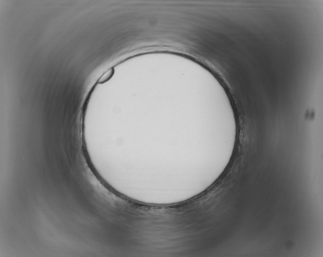 X0000111021516200907101328