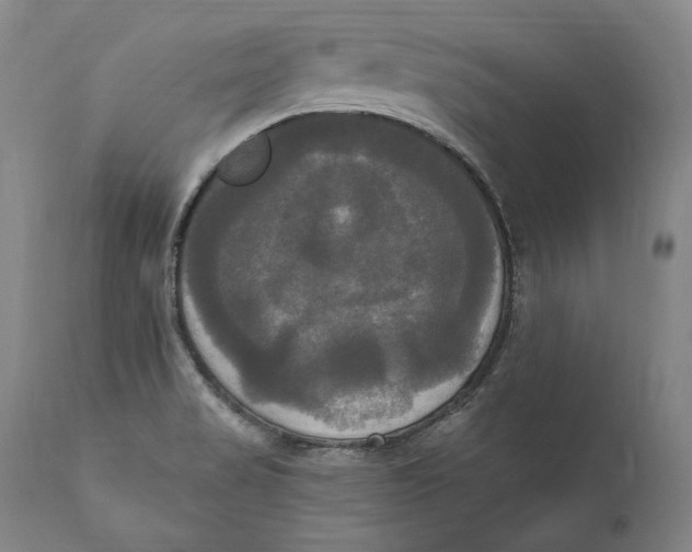 X0000111021517200907101328