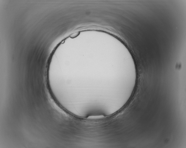 X0000111021518200907101328