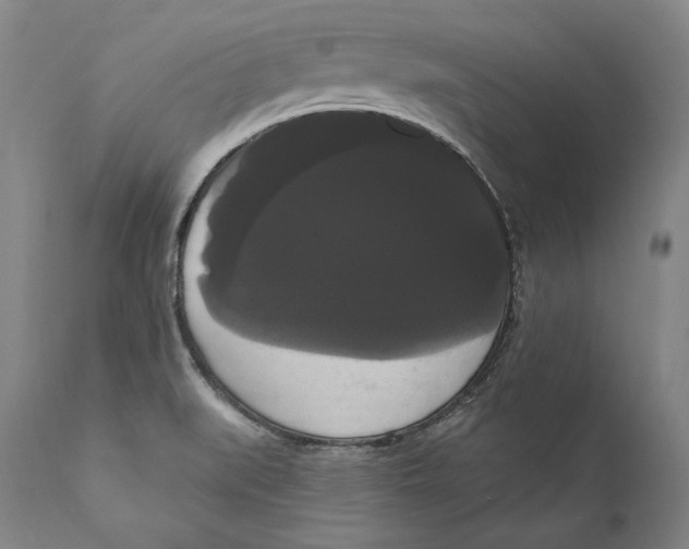 X0000111021519200907101328