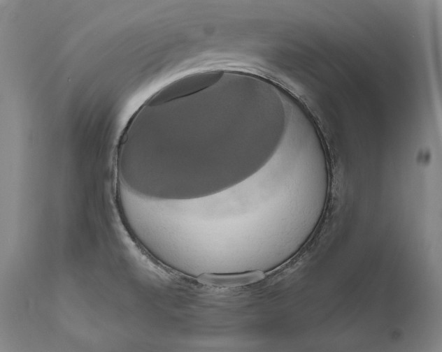 X0000111021520200907101328