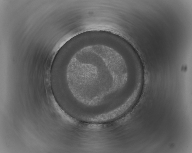 X0000111021521200907101328