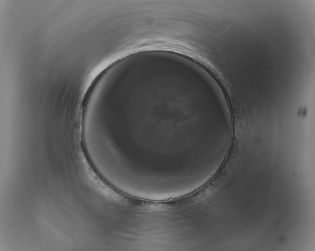 X0000111021522200907101328