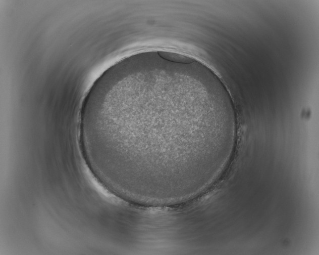 X0000111021523200907101328