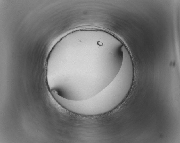 X0000111021524200907101328