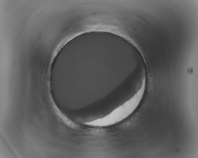 X0000111021525200907101328
