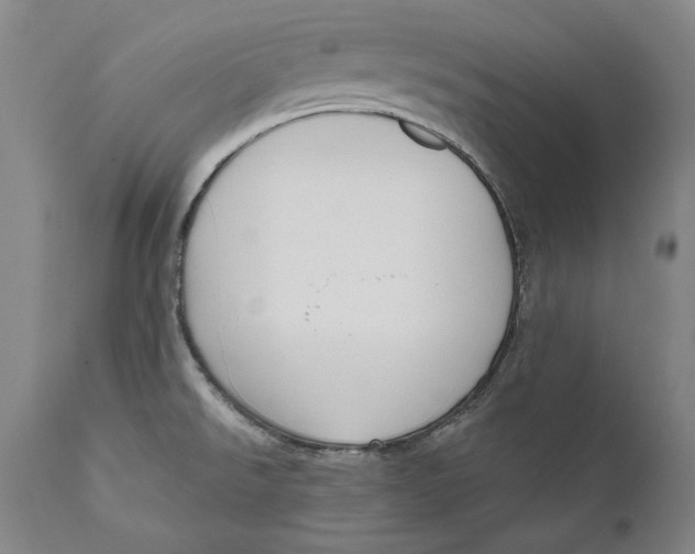 X0000111021526200907101328