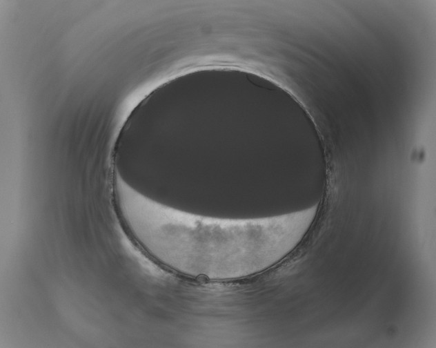 X0000111021527200907101328