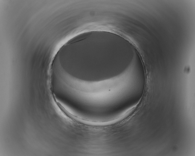 X0000111021528200907101328