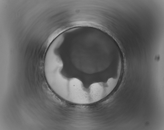 X0000111021529200907101328