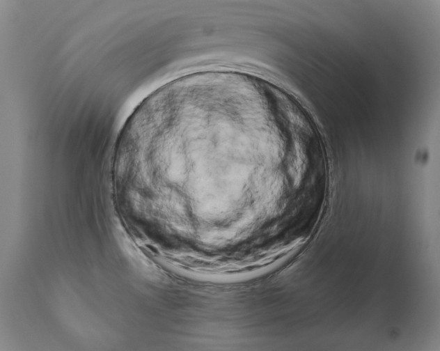 X0000111021530200907101328