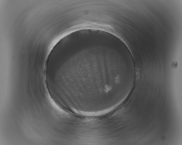 X0000111021531200907101328