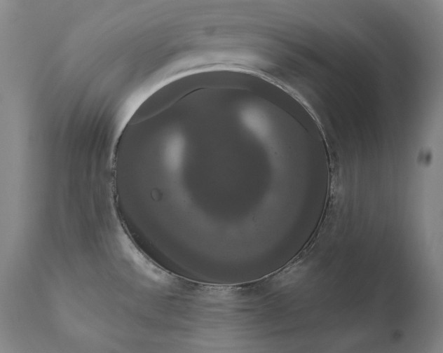 X0000111021532200907101328