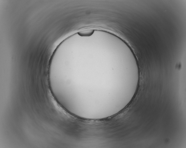 X0000111021534200907101328