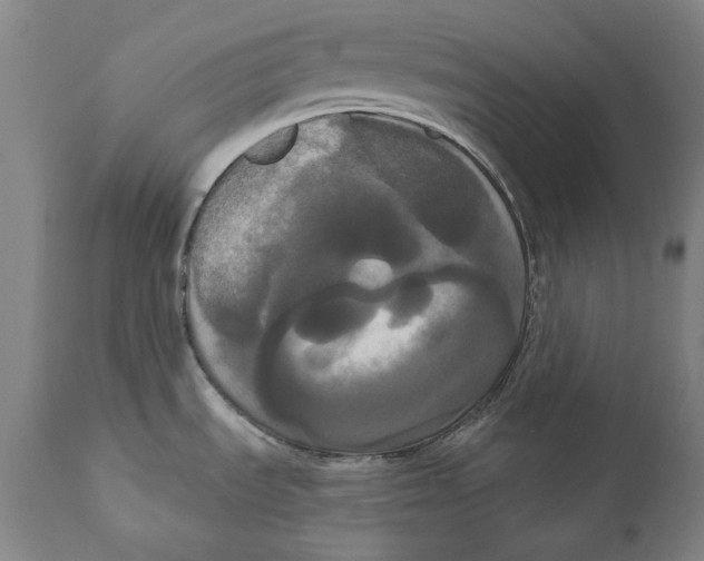 X0000111021535200907101328