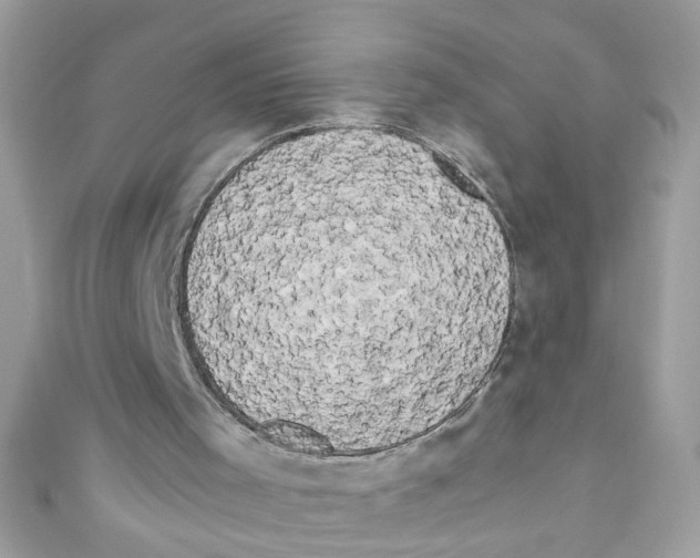 X0000111020001200907171905