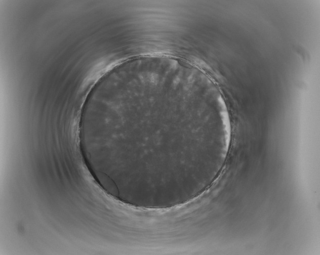 X0000111020002200907171905