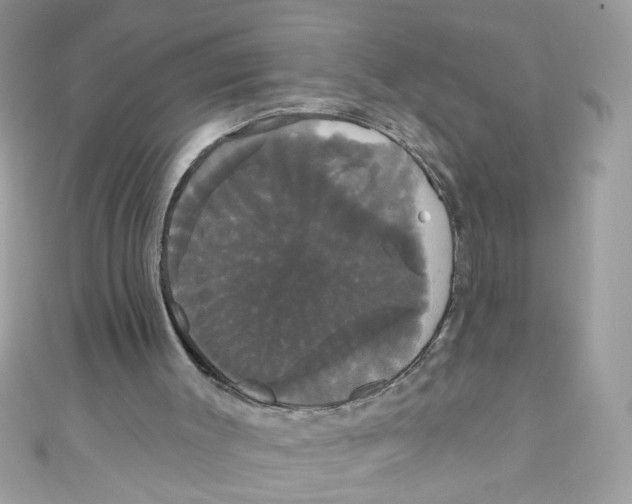X0000111020003200907171905