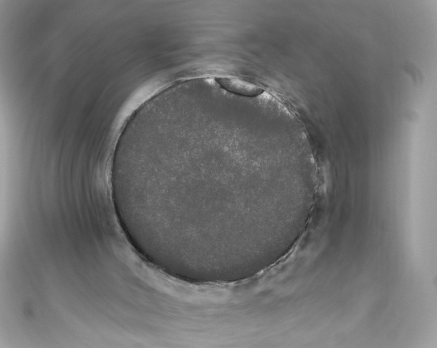 X0000111020004200907171905