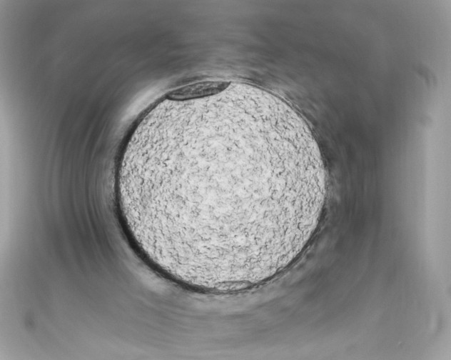 X0000111020005200907171905