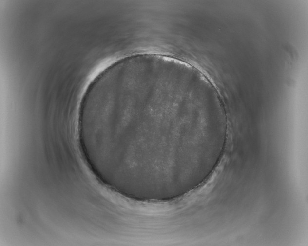 X0000111020008200907171905