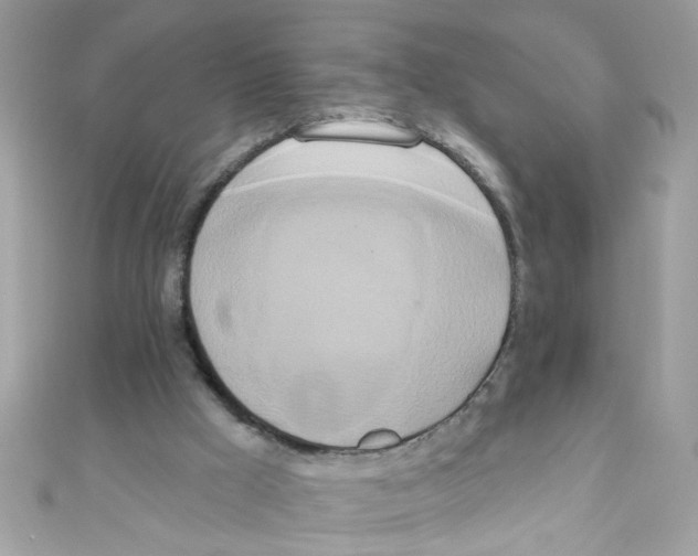 X0000111020009200907171905