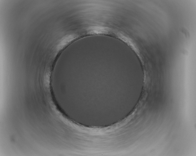 X0000111020010200907171905