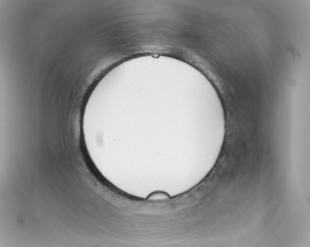 X0000111020011200907171905
