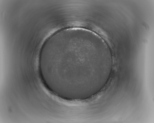 X0000111020012200907171905