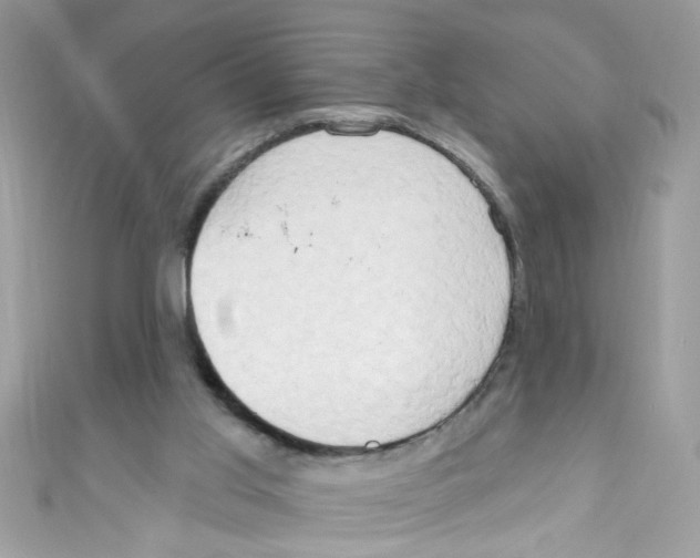X0000111020013200907171905