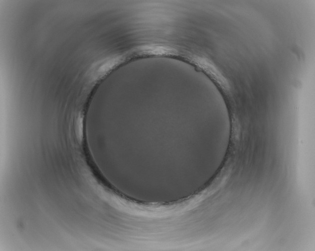 X0000111020014200907171905