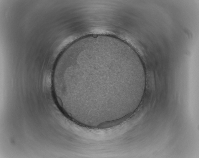 X0000111020015200907171905