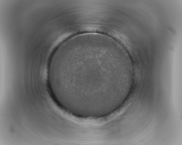 X0000111020016200907171905