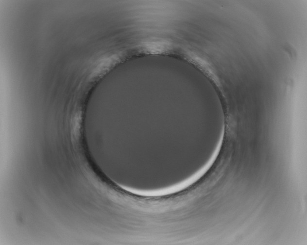 X0000111020018200907171905