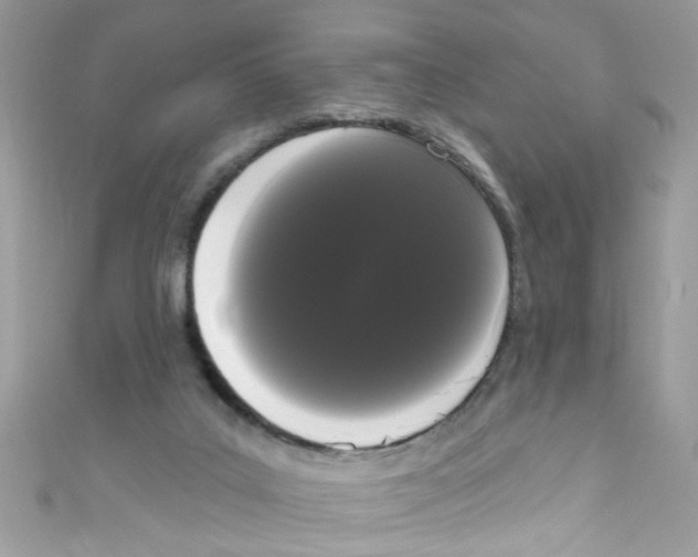 X0000111020019200907171905