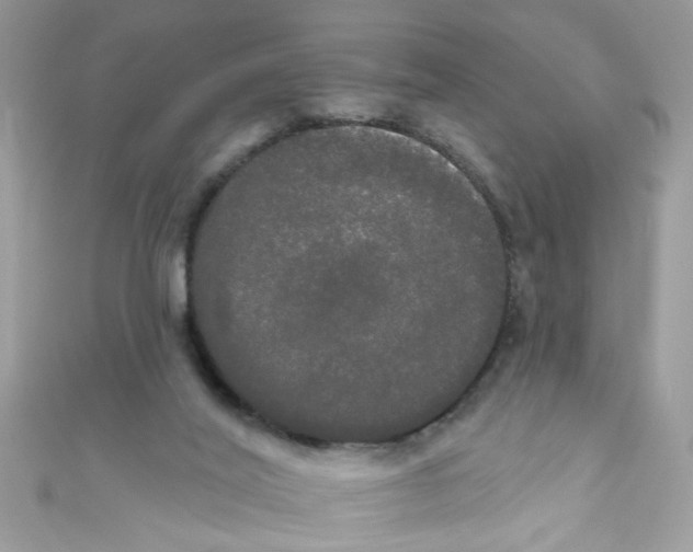 X0000111020020200907171905