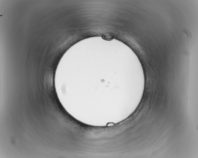 X0000111020021200907171904
