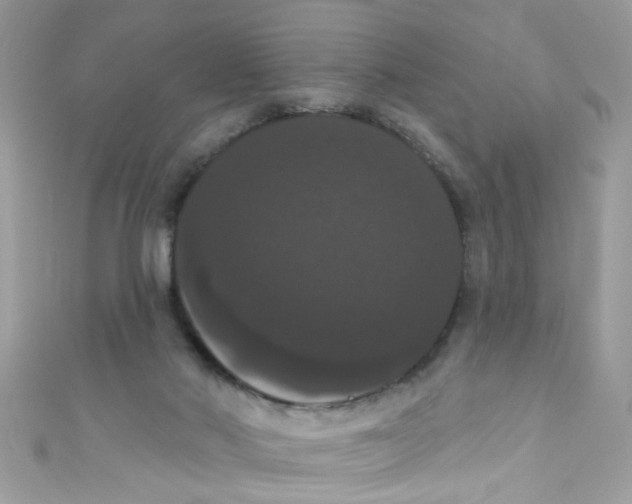 X0000111020022200907171904