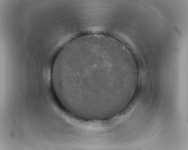 X0000111020024200907171904