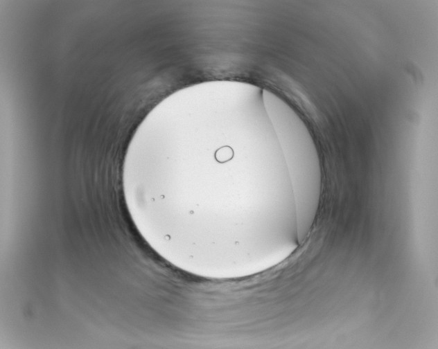 X0000111020025200907171904